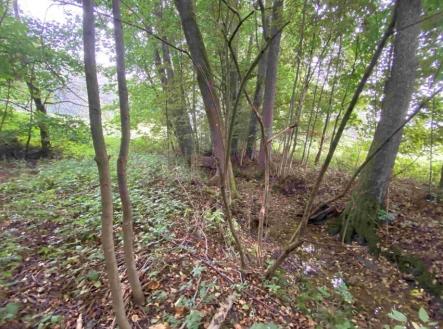 Prodej pozemku, ostatní, 1 994 m²