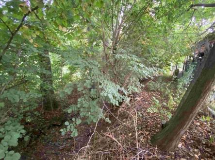 Prodej pozemku, ostatní, 1 994 m²