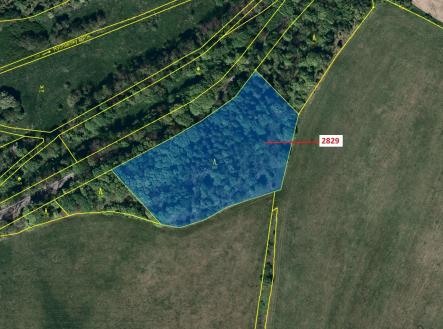 Prodej pozemku, les, 7 776 m²