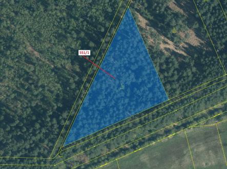 Prodej pozemku, les, 9 131 m²