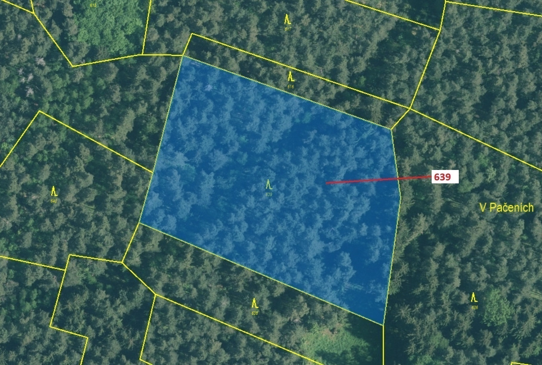 Lesní pozemek o výměře 8912 m2, podíl 1/1, katastrální území Kuřimany, obec Kuřimany, obec s rozšíře