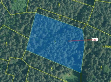 Prodej pozemku, les, 8 912 m²