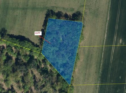 Prodej pozemku, les, 4 658 m²