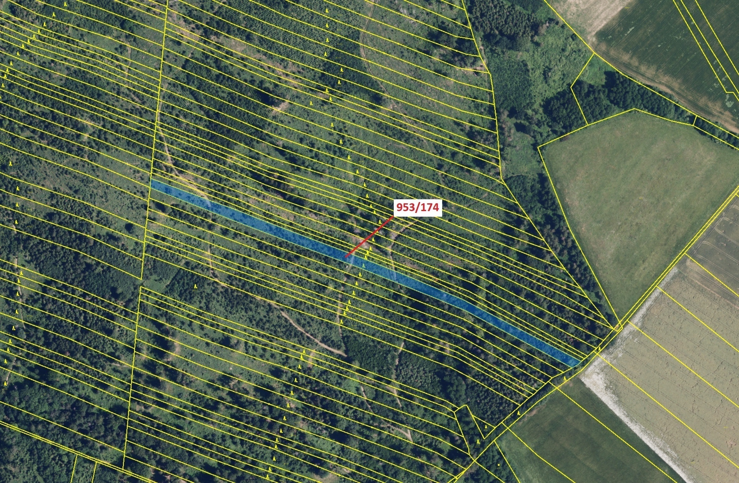 Lesní pozemek o výměře 6275 m2, podíl 1/1, katastrální území Nová Hradečná, obec Nová Hradečná, obec