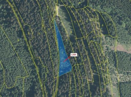 Prodej pozemku, les, 3 805 m²