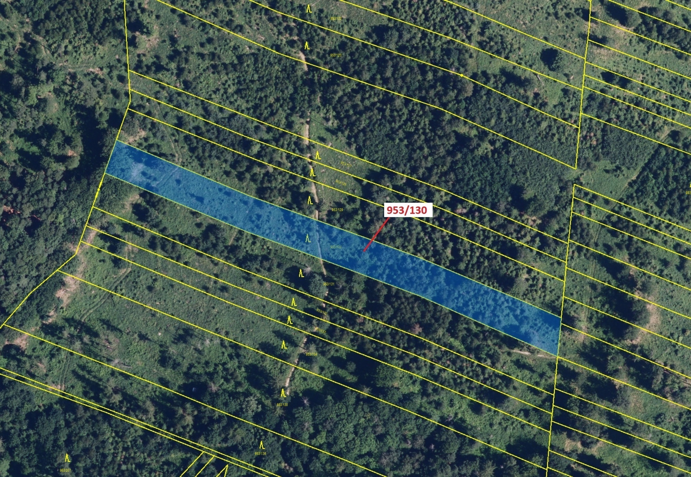 Lesní pozemek o výměře 5079 m2, podíl 1/1, katastrální území Nová Hradečná, obec Nová Hradečná, obec
