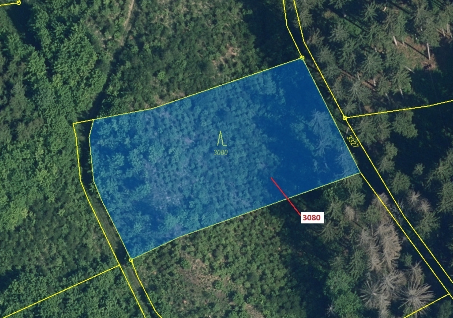 Lesní pozemek o výměře 2540 m2, podíl 1/1, katastrální území Benešov u Semil, obec Benešov u Semil, 