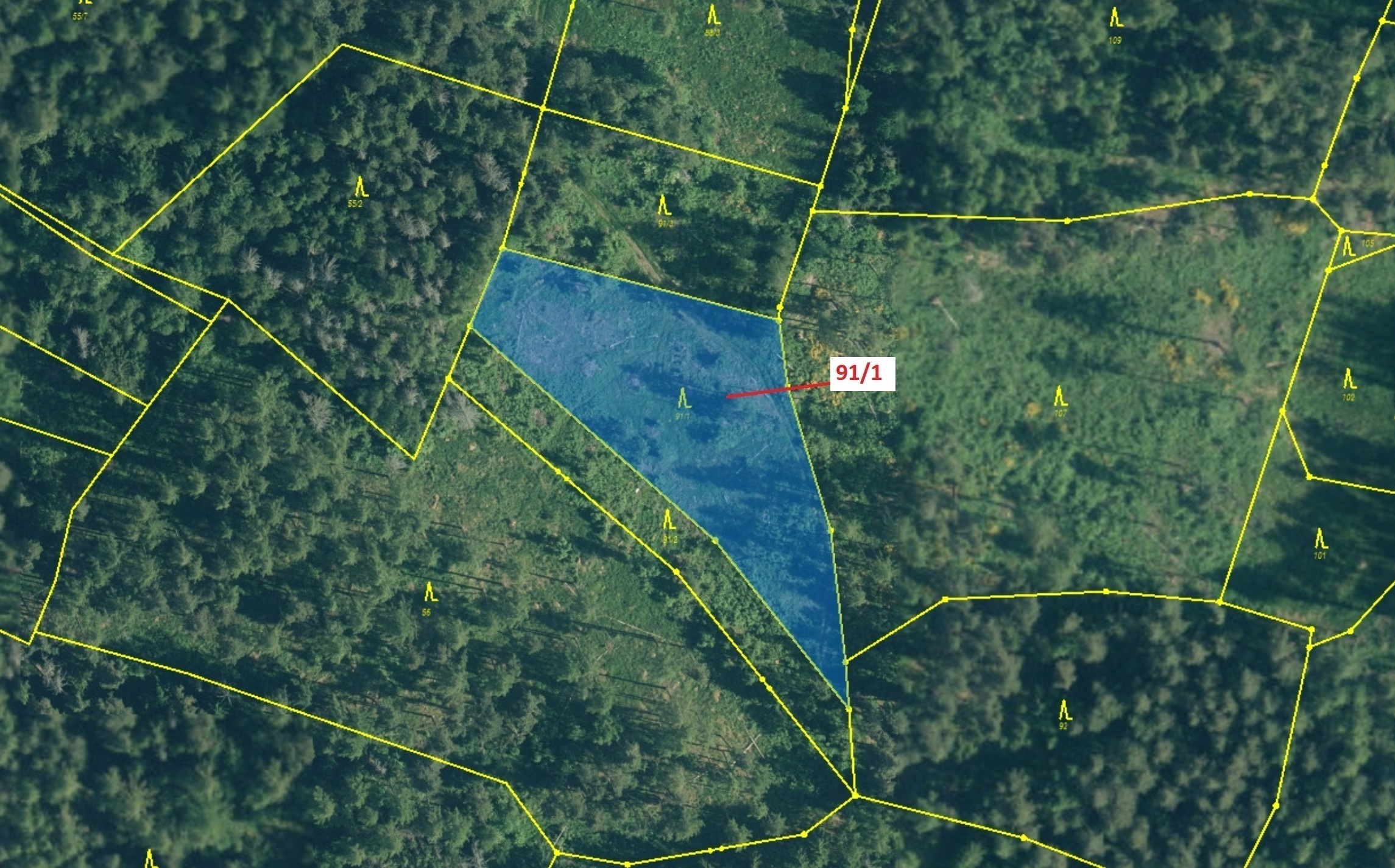 Lesní pozemek o výměře 3251 m2, podíl 1/1, katastrální území Velešice u Pačejova, obec Pačejov, obec