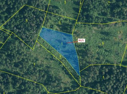 Prodej pozemku, les, 3 251 m²