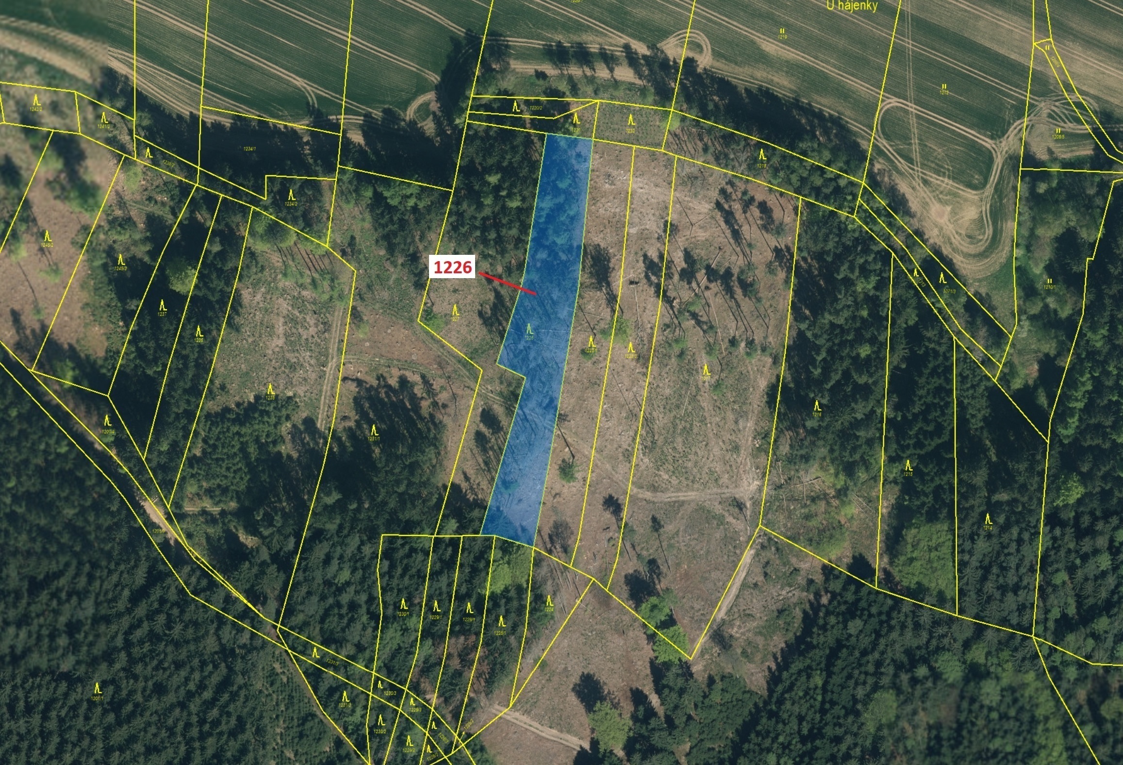 Lesní pozemek o výměře 3593 m2, podíl 1/1, katastrální území Vilice, obec Vilice, obec s rozšířenou 