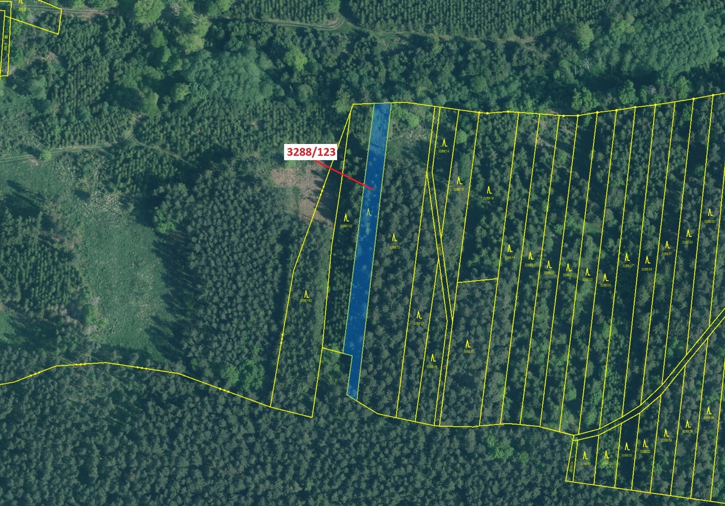 Lesní pozemek o výměře 1707 m2, podíl 1/1, katastrální území Hosty, obec Hosty, obec s rozšířenou pů