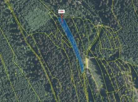 Prodej pozemku, les, 2 442 m²