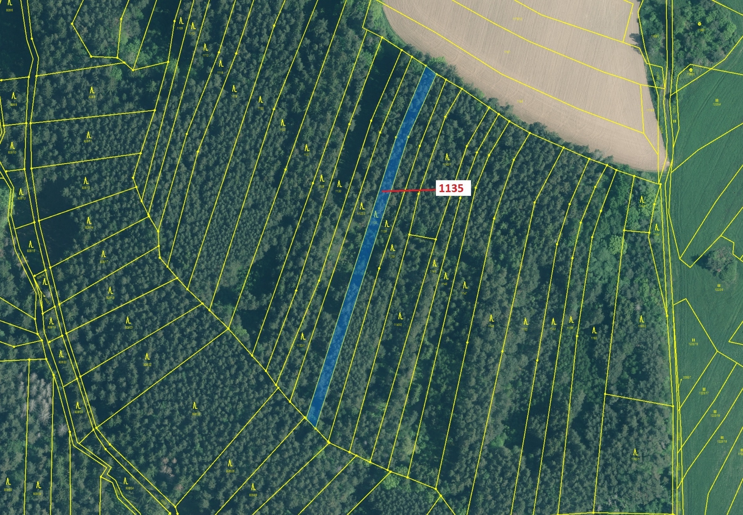 Lesní pozemek o výměře 1789 m2, podíl 1/1, katastrální území Hosty, obec Hosty, obec s rozšířenou pů