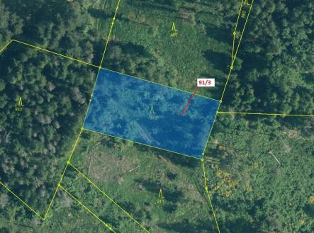 Prodej pozemku, les, 1 958 m²