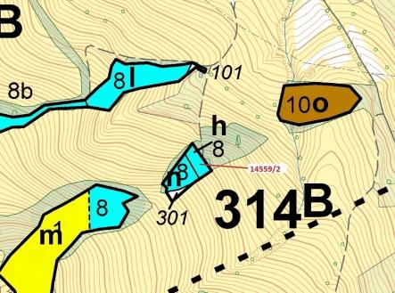 Prodej pozemku, les, 605 m²