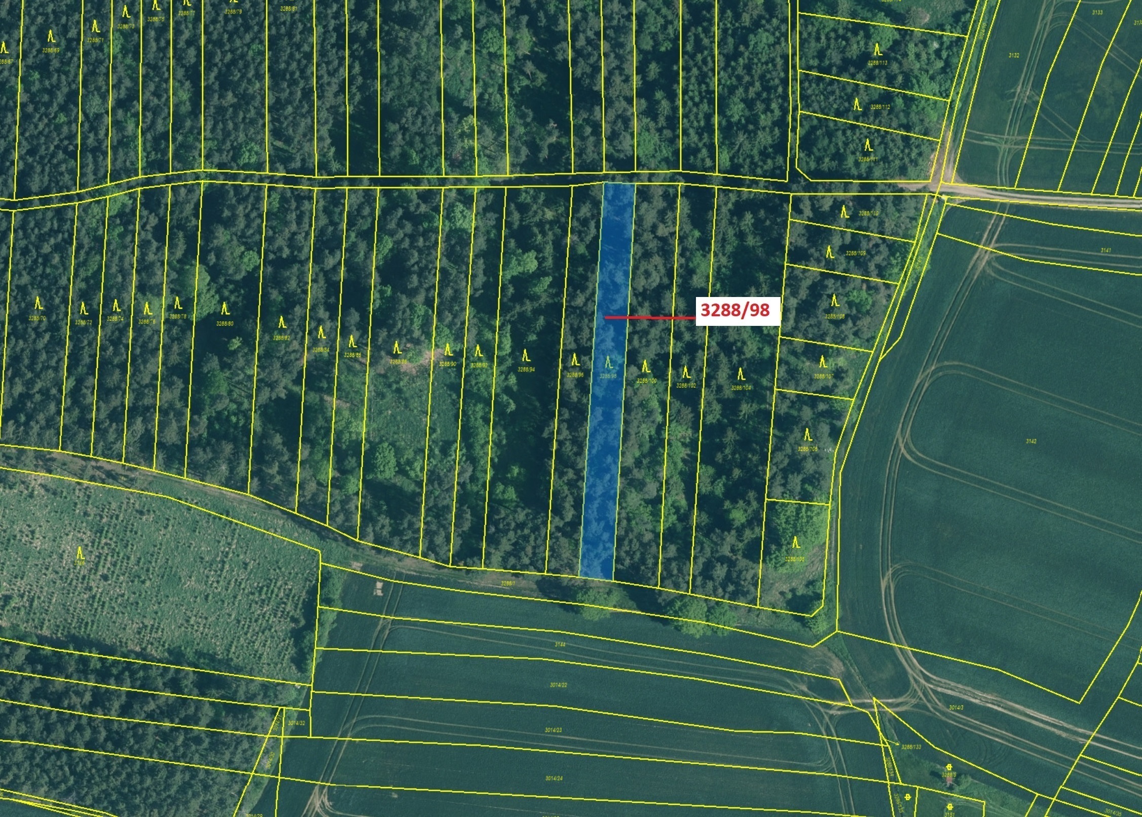 Lesní pozemek o výměře 1685 m2, podíl 1/1, katastrální území Hosty, obec Hosty, obec s rozšířenou pů