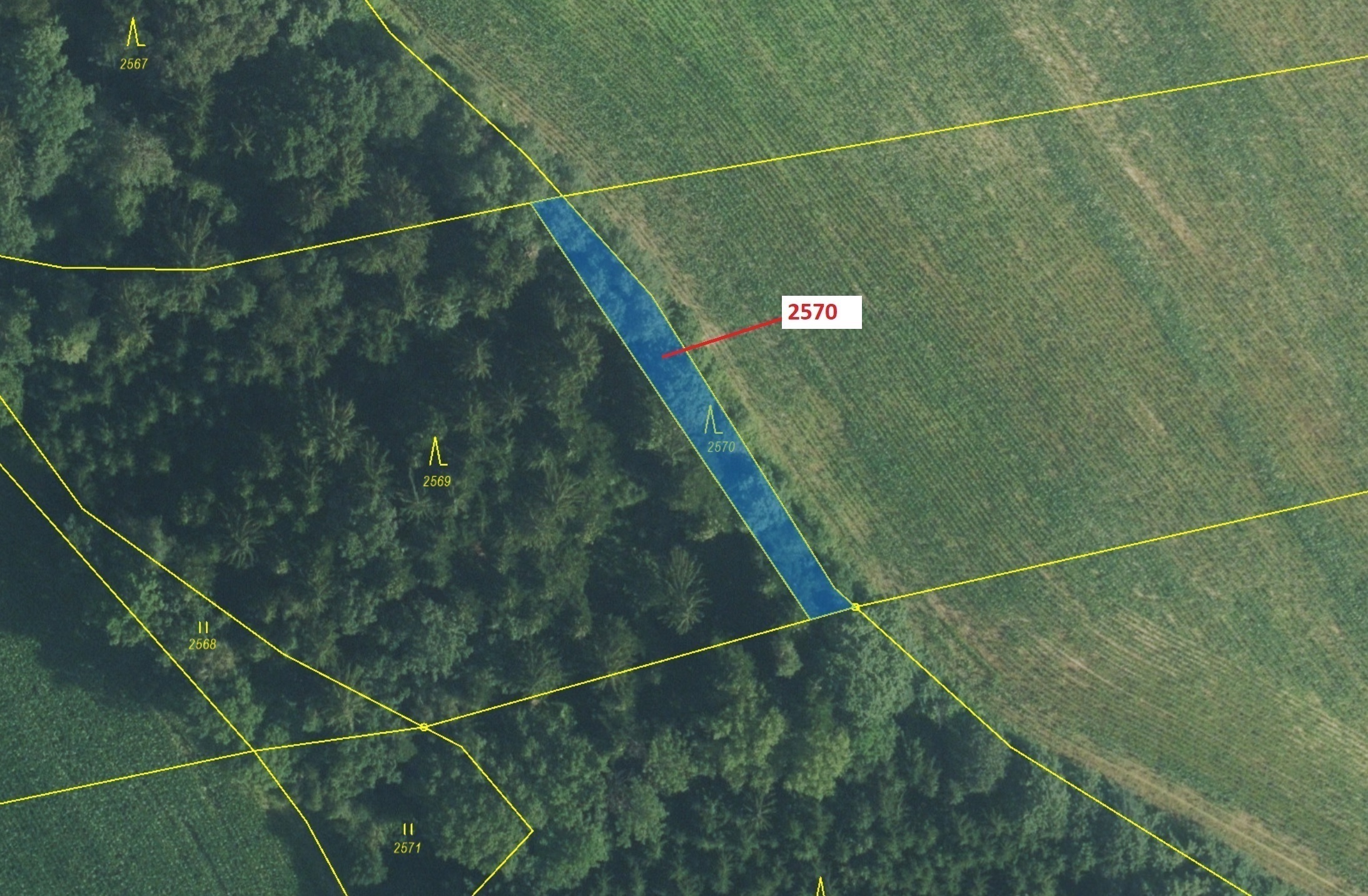 Lesní pozemek o výměře 447 m2, podíl 1/1, katastrální území Písečná u Žamberka, obec Písečná, obec s