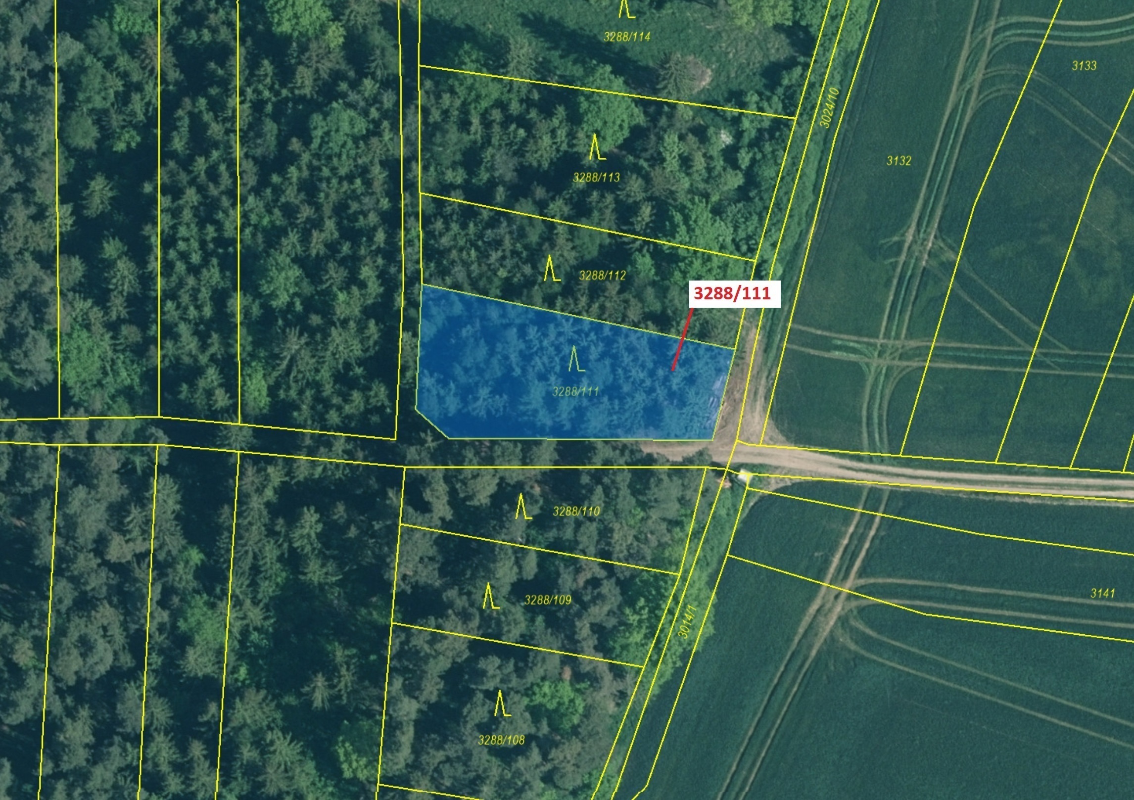 Lesní pozemek o výměře 978 m2, podíl 1/1, katastrální území Hosty, obec Hosty, obec s rozšířenou půs