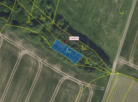 Prodej pozemku, les, 356 m²