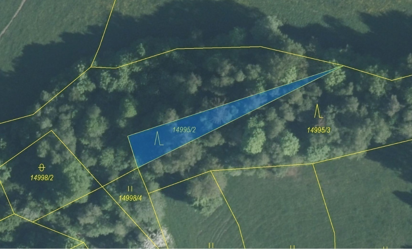 Lesní pozemek o výměře 330 m2, podíl 1/1, katastrální území Hovězí, obec Hovězí, obec s rozšířenou p