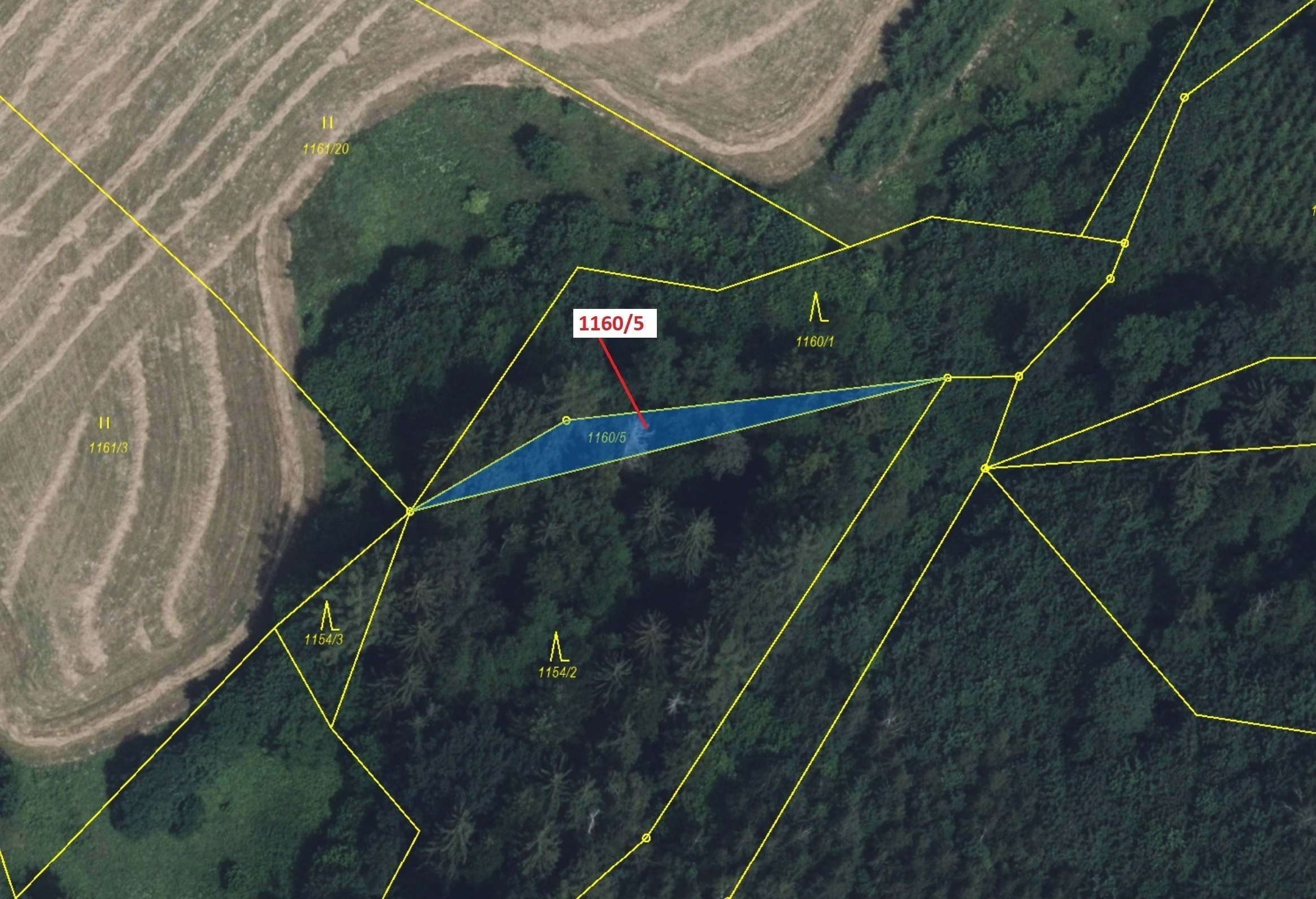 Lesní pozemek o výměře 282 m2, podíl 1/1, katastrální území Kunčice u Letohradu, obec Letohrad, obec