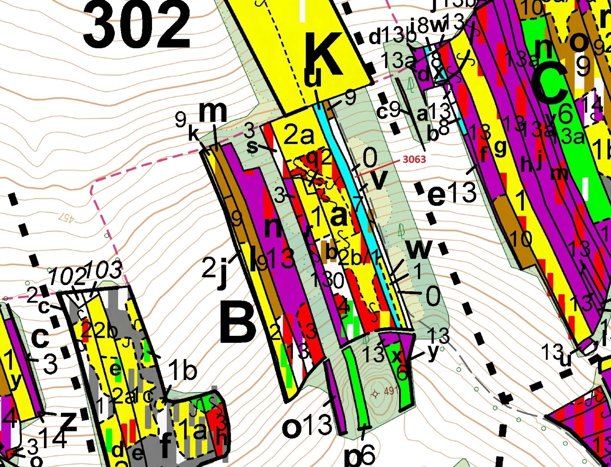 Lesní pozemek o výměře 703 m2, podíl 1/1, katastrální území Koloveč, obec Koloveč, obec s rozšířenou