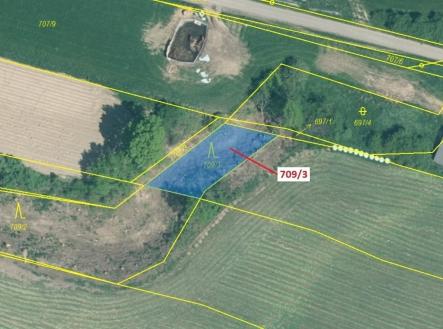 Prodej pozemku, les, 301 m²