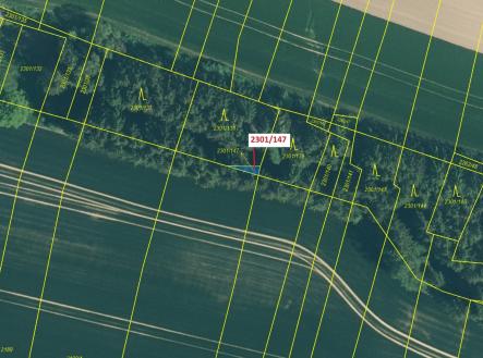 Prodej pozemku, les, 19 m²