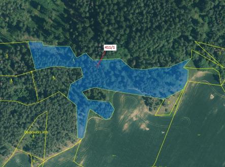 Prodej pozemku, les, 12 307 m²