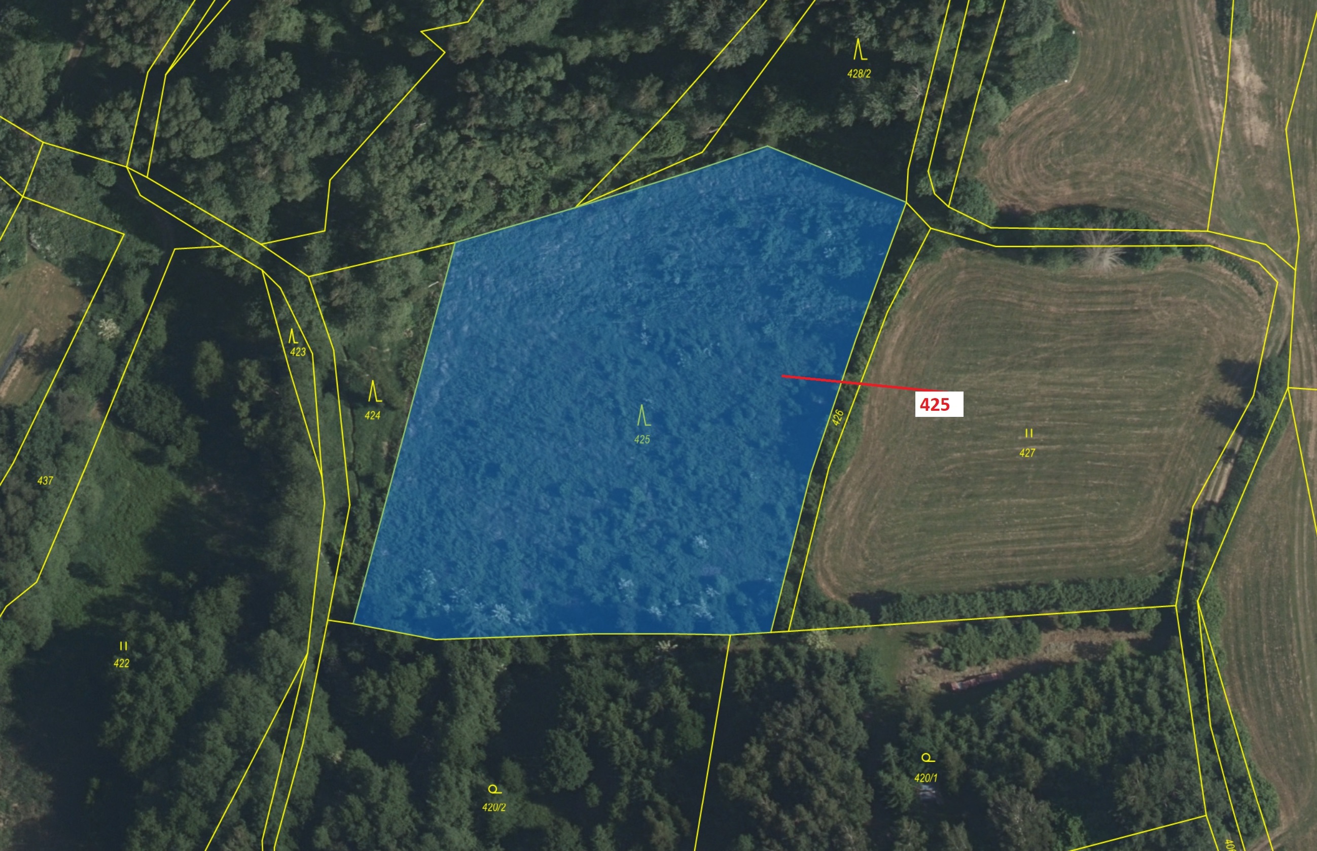 Lesní pozemek o výměře 7499 m2, podíl 1/1, katastrální území Strmilov, obec Strmilov, obec s rozšíře