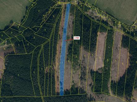 Prodej pozemku, les, 5 036 m²