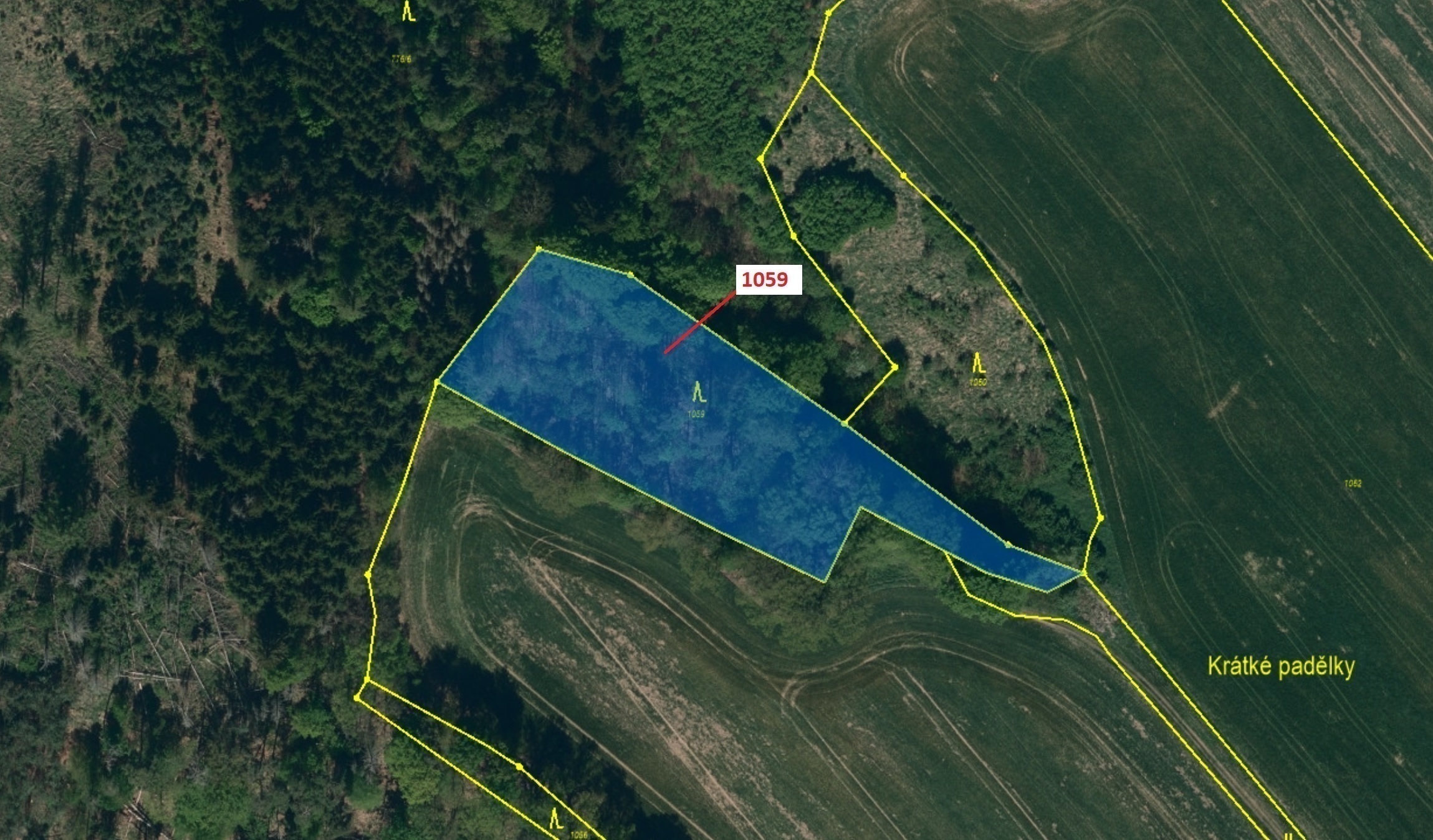 Lesní pozemek o výměře 3646 m2, podíl 1/1, katastrální území Jedov, obec Náměšť nad Oslavou, obec s 