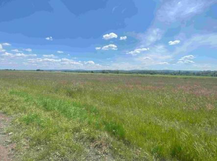 Prodej pozemku, trvalý travní porost, 2 873 m²