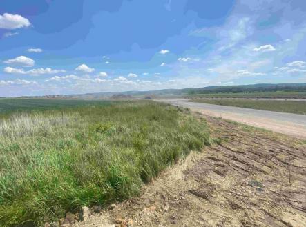 Prodej pozemku, trvalý travní porost, 2 873 m²