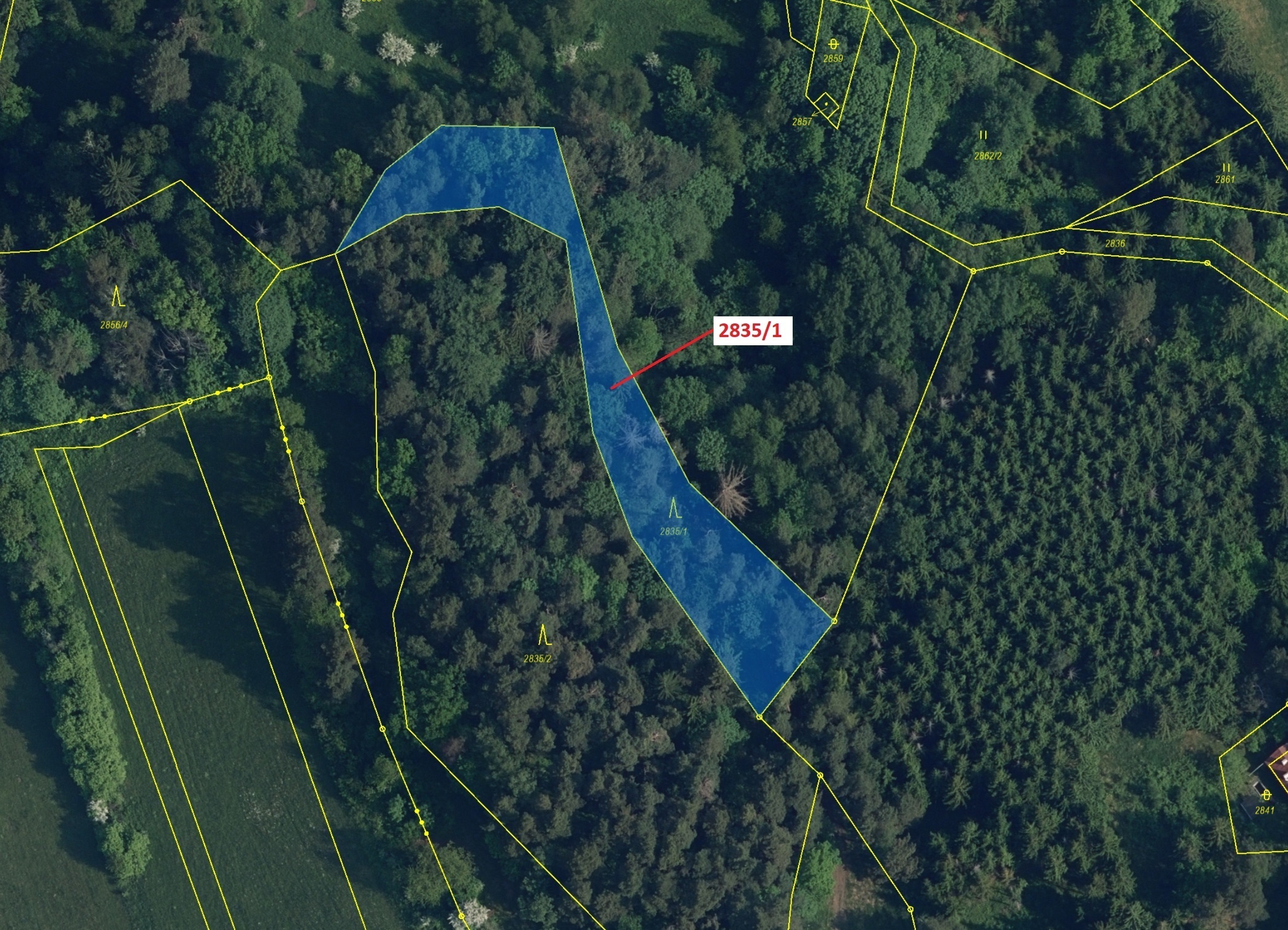 Lesní pozemek o výměře 2117 m2, podíl 1/1, katastrální území Český Dub, obec Český Dub, obec s rozší