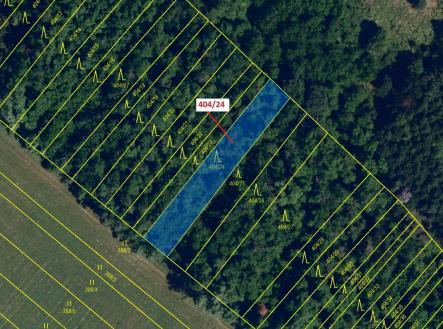 Prodej pozemku, les, 741 m²