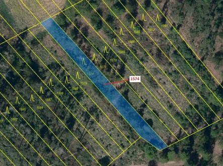 Prodej pozemku, les, 885 m²