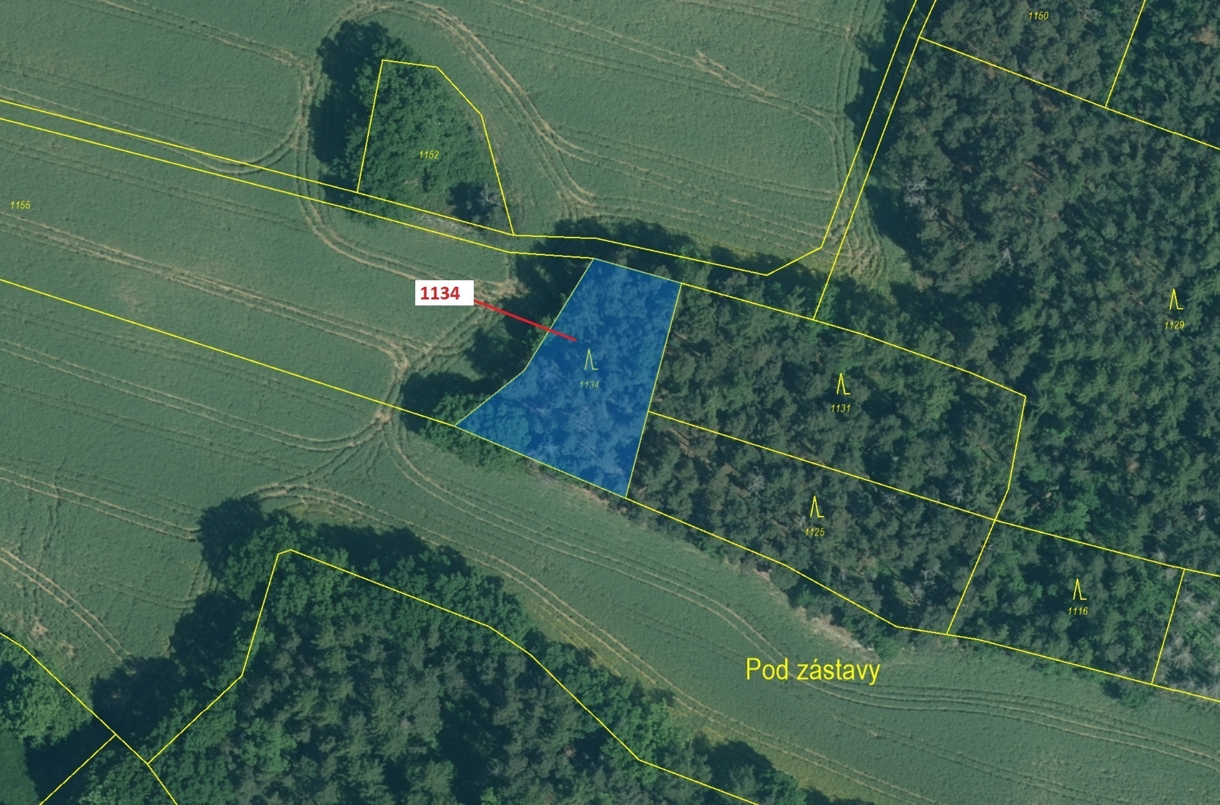 Lesní pozemek o výměře 1 083 m2, podíl 1/1, katastrální území Bezděkov u Kasejovic, obec Hradiště, o
