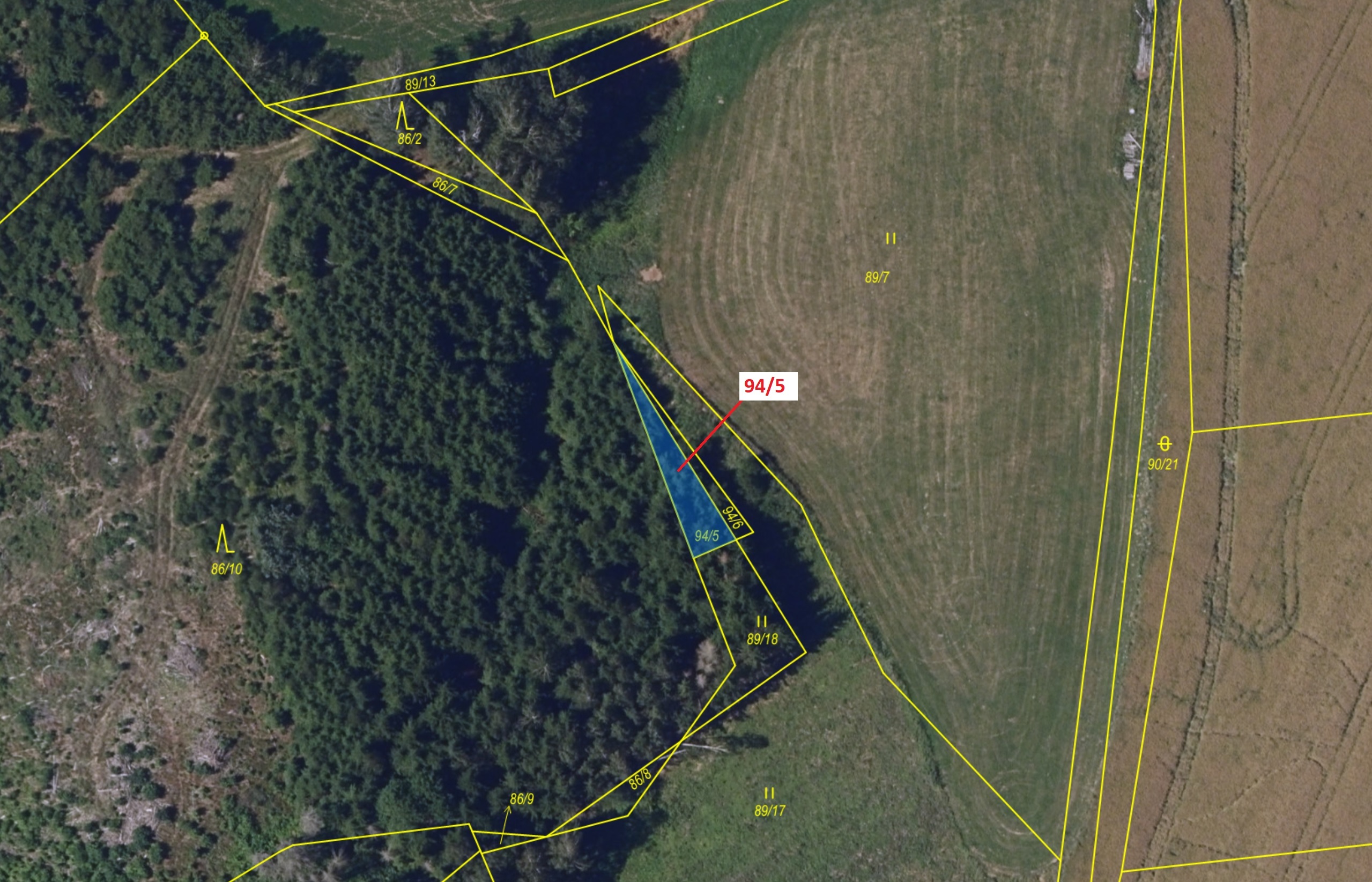 Lesní pozemek o výměře 119 m2, podíl 1/1, katastrální území Macourov, obec Žižkovo Pole, obec s rozš