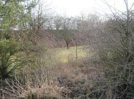 Prodej pozemku, zemědělská půda, 1 943 m²