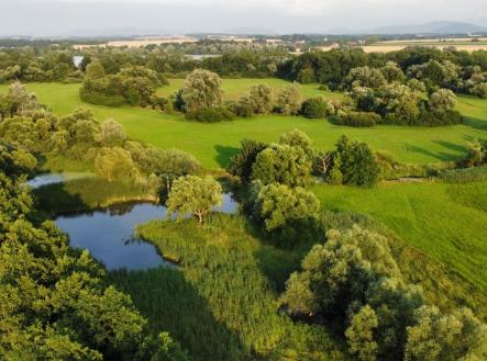 Prodej pozemku, trvalý travní porost, 9 886 m²