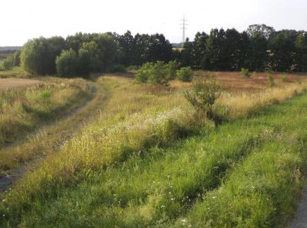 Prodej pozemku, trvalý travní porost, 9 886 m²