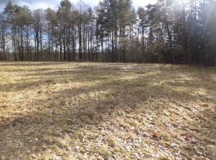 Prodej pozemku, trvalý travní porost, 15 643 m²