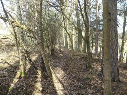 Prodej pozemku, trvalý travní porost, 15 643 m²