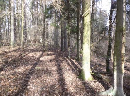 Prodej pozemku, trvalý travní porost, 15 643 m²