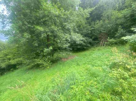 Prodej pozemku pro bydlení, 1 004 m²