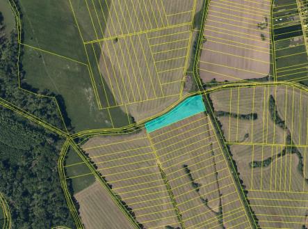 Prodej pozemku, trvalý travní porost, 11 841 m²