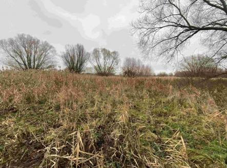 Prodej pozemku, trvalý travní porost, 4 103 m²