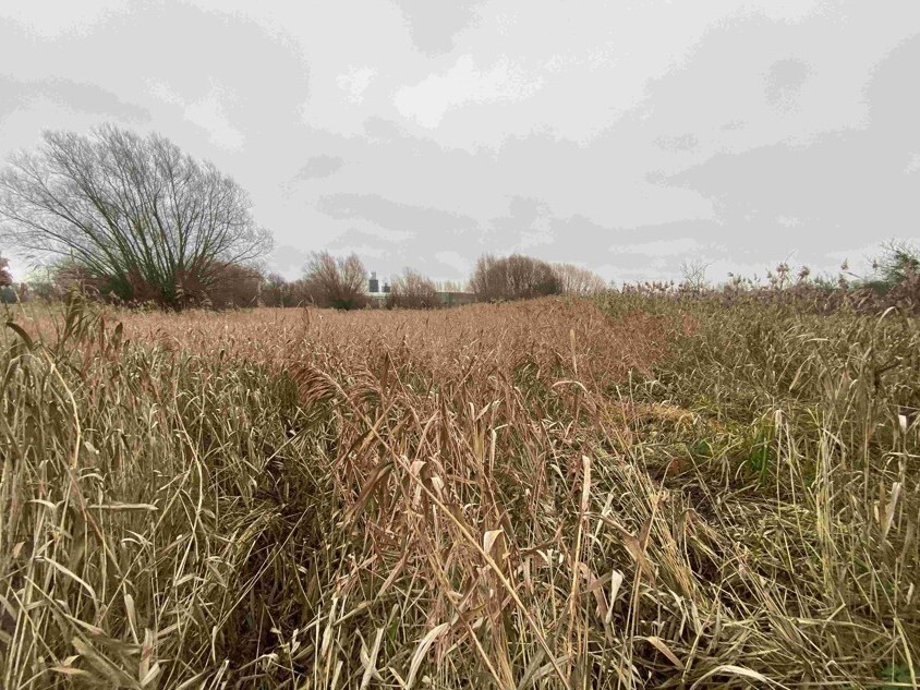 Pozemek o velikosti 4103m2, Křenovice u Kojetína