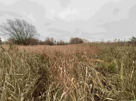 Prodej pozemku, trvalý travní porost, 4 103 m²